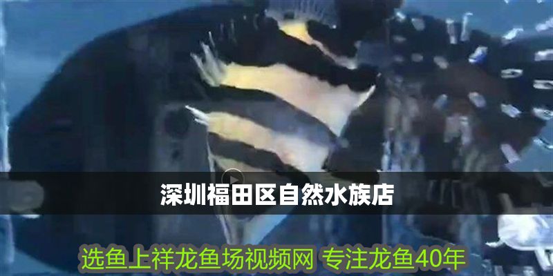 深圳福田區(qū)自然水族店