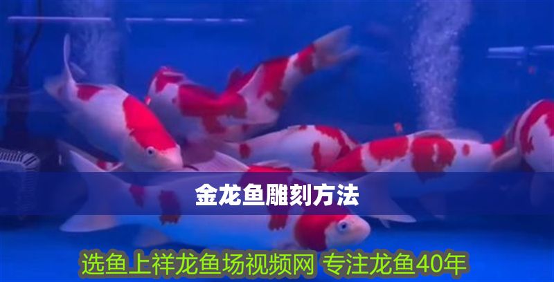 金龍魚雕刻方法