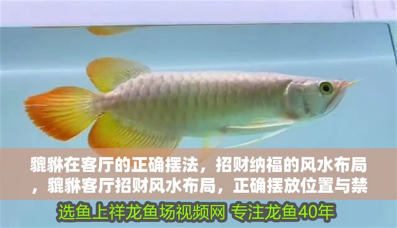 貔貅在客廳的正確擺法，招財納福的風水布局，貔貅客廳招財風水布局，正確擺放位置與禁忌全解析