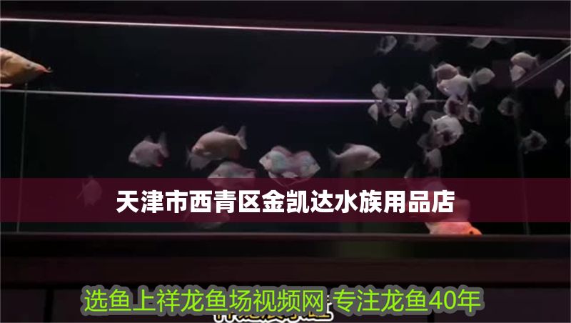 天津市<strong><mark>西青</mark></strong>區(qū)金凱達(dá)水族用品店