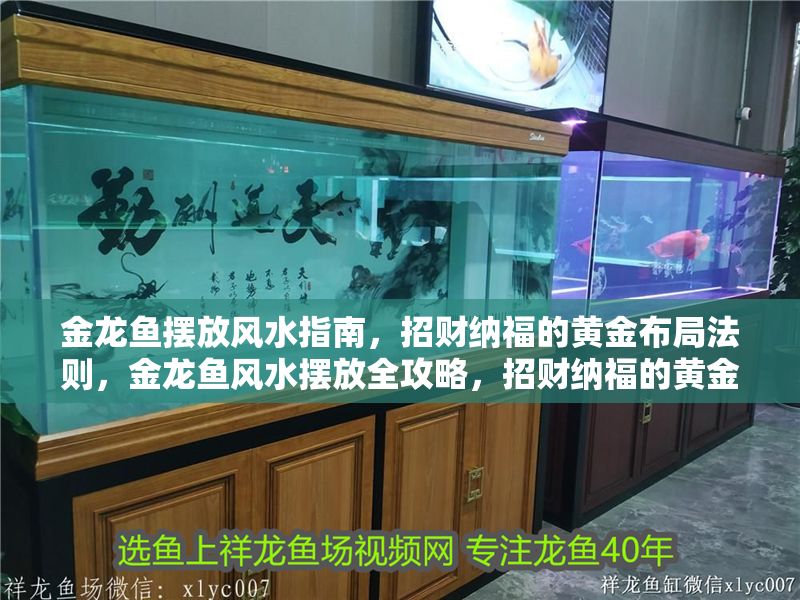 金龍魚擺放風水指南，招財納福的黃金布局法則，金龍魚風水擺放全攻略，招財納福的黃金布局法則