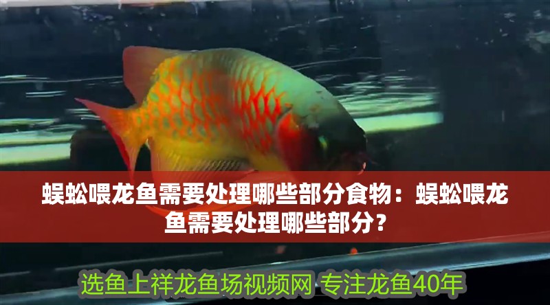 蜈蚣喂龍魚需要處理哪些部分食物：蜈蚣喂龍魚需要處理哪些部分？