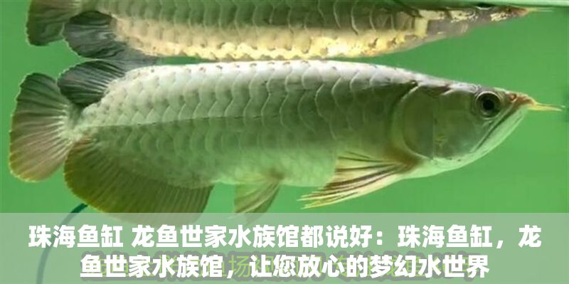 珠海魚缸 龍魚世家水族館都說好：珠海魚缸，龍魚世家水族館，讓您放心的夢幻水世界
