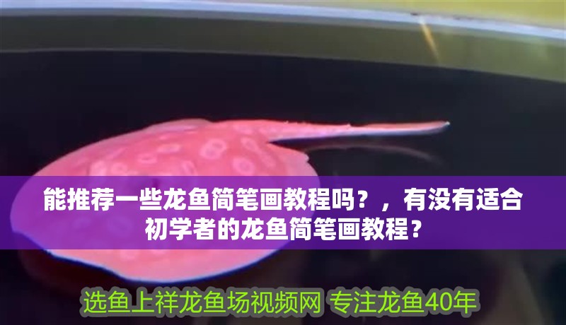 能推薦一些龍魚簡筆畫教程嗎？，有沒有適合初學者的龍魚簡筆畫教程？ 能推薦一些龍魚簡筆畫教程嗎？，有沒有適合初學者的龍魚簡筆畫教程？ 龍魚百科