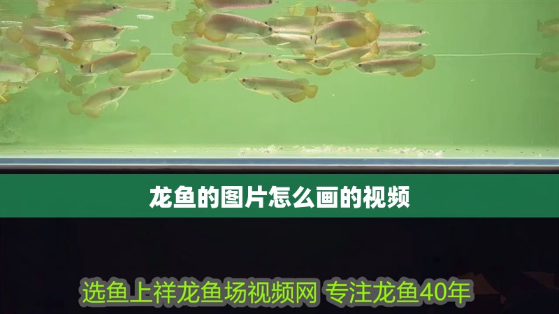 緬甸圖騰金龍魚圖片大全