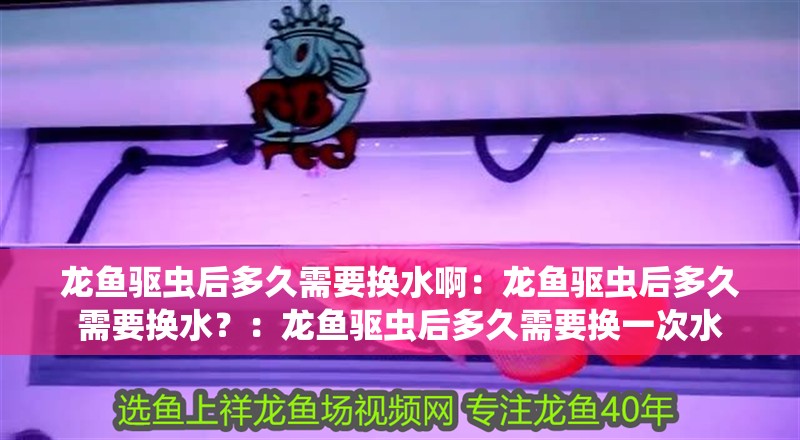 龍魚驅(qū)蟲后多久需要換水啊：龍魚驅(qū)蟲后多久需要換水？：龍魚驅(qū)蟲后多久需要換一次水