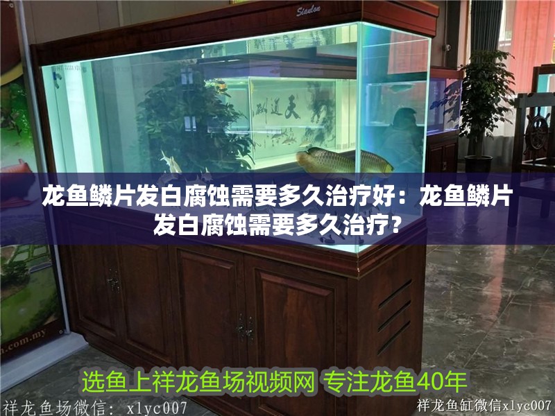龍魚鱗片發白腐蝕需要多久治療好：龍魚鱗片發白腐蝕需要多久治療？