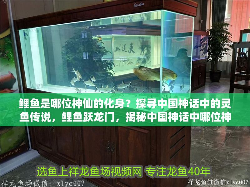 鯉魚是哪位神仙的化身？探尋中國神話中的靈魚傳說，鯉魚躍龍門，揭秘中國神話中哪位神仙化身靈魚的傳說