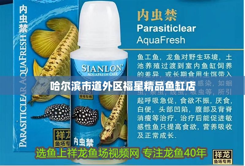 哈爾濱市道外區福星精品魚缸店