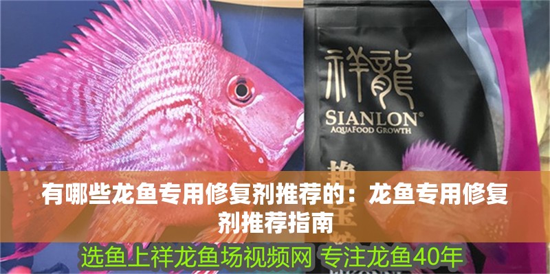 有哪些龍魚(yú)專用修復(fù)劑推薦的：龍魚(yú)專用修復(fù)劑推薦指南
