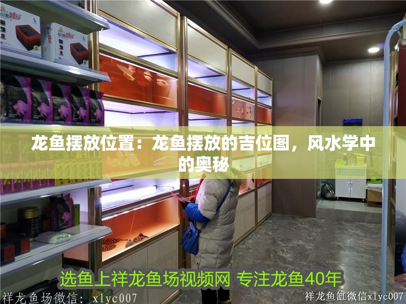 龍魚擺放位置：龍魚擺放的吉位圖，風(fēng)水學(xué)中的奧秘