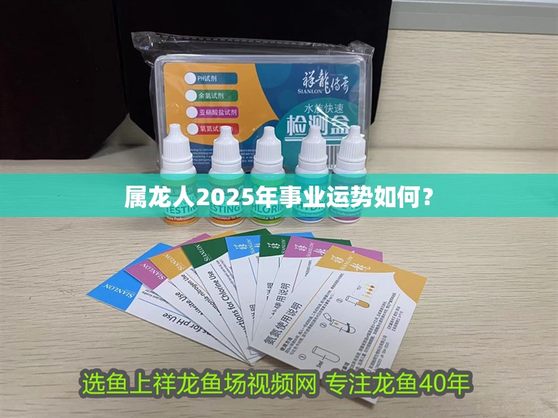 屬龍人2025年事業運勢如何？ 屬龍人2025年事業運勢如何？ 龍魚百科