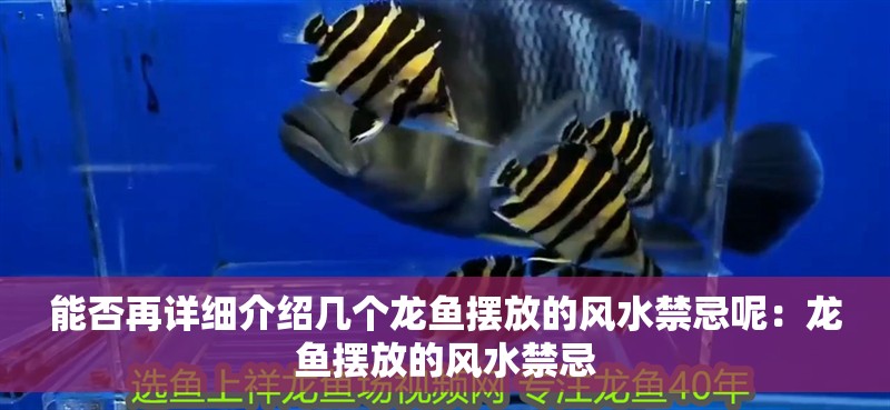 能否再詳細(xì)介紹幾個龍魚擺放的風(fēng)水禁忌呢：龍魚擺放的風(fēng)水禁忌