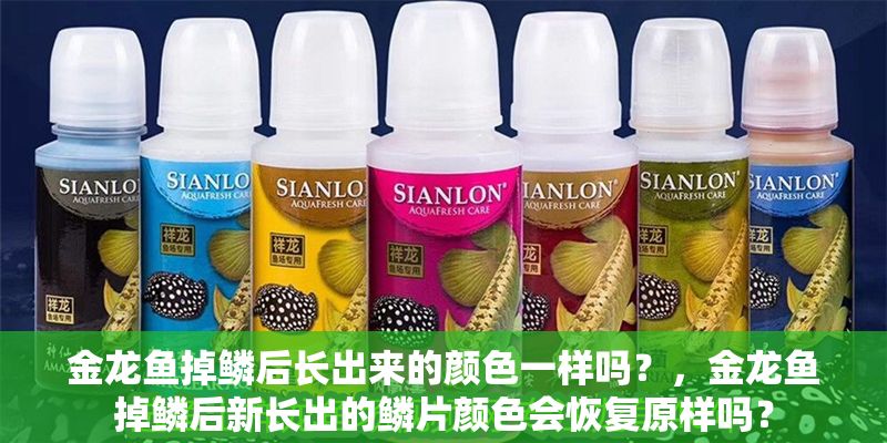 金龍魚掉鱗后長出來的顏色一樣嗎？，金龍魚掉鱗后新長出的鱗片顏色會恢復原樣嗎？