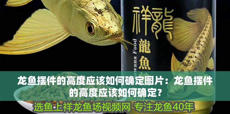 龍魚擺件的高度應該如何確定圖片：龍魚擺件的高度應該如何確定？
