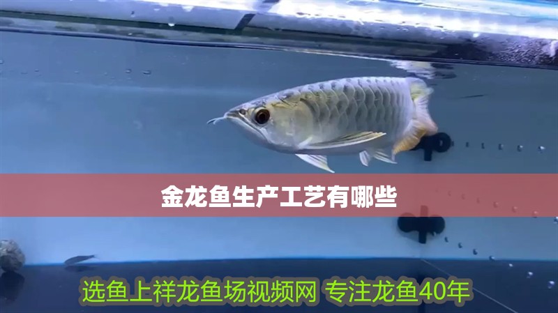 金龍魚生產工藝有哪些
