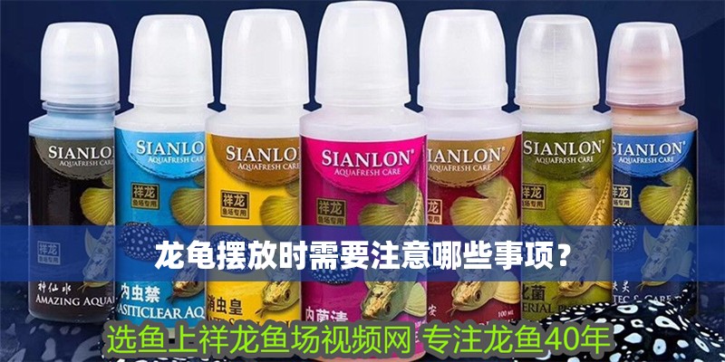 龍龜擺放時需要注意哪些事項？