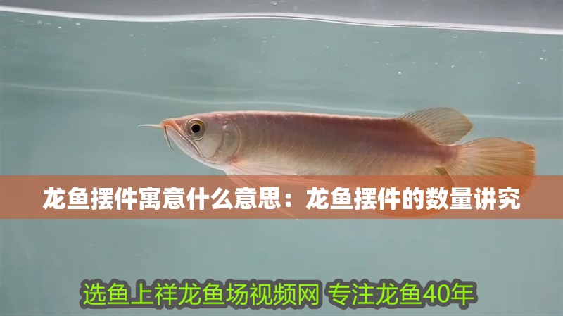 龍魚擺件寓意什么意思：龍魚擺件的數量講究