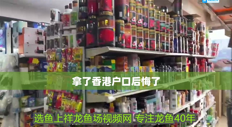 新到家的小虎魚 拿了香港戶口后悔了 龍魚百科 拿了香港戶口后悔了 拿了香港戶口后悔了 龍魚百科