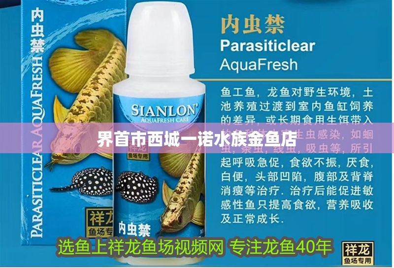 界首市西城一諾水族金魚店 界首市西城一諾水族金魚店 全國水族館企業名錄 第1張