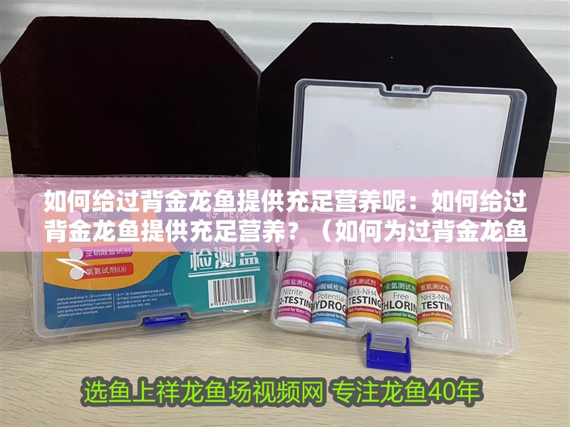 如何給過背金龍魚提供充足營養呢：如何給過背金龍魚提供充足營養？（如何為過背金龍魚提供充足的營養）