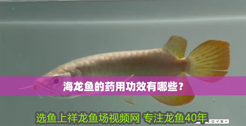 海龍魚(yú)的藥用功效有哪些？