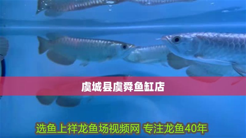 虞城縣虞舜魚缸店
