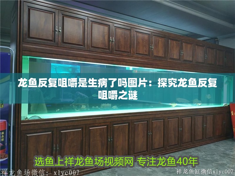 龍魚反復咀嚼是生病了嗎圖片：探究龍魚反復咀嚼之謎