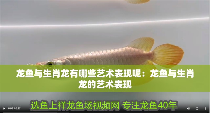 龍魚與生肖龍有哪些藝術表現呢：龍魚與生肖龍的藝術表現