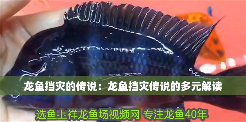 龍魚擋災的傳說：龍魚擋災傳說的多元解讀