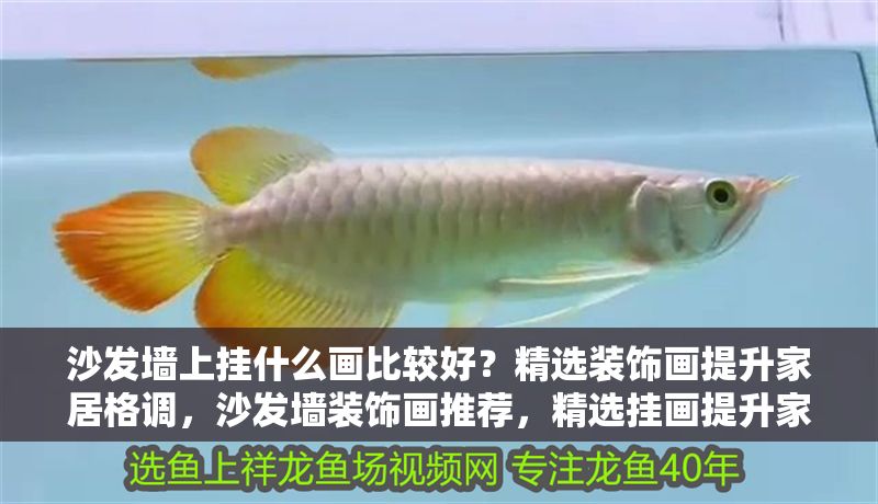 沙發(fā)墻上掛什么畫比較好？精選裝飾畫提升家居格調(diào)，沙發(fā)墻裝飾畫推薦，精選掛畫提升家居格調(diào)