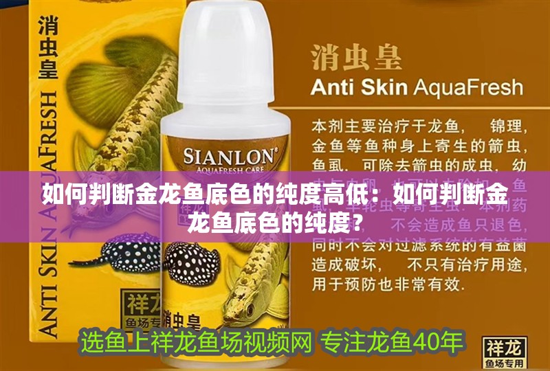 如何判斷金龍魚底色的純度高低：如何判斷金龍魚底色的純度？