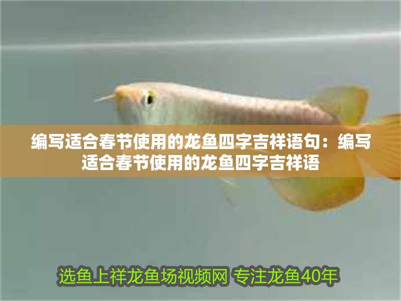 魚缸過濾器選購指南:自制魚缸過濾器魚缸上置過濾器對于養(yǎng)魚愛好者的必備知識 白龍魚服與龍戰(zhàn)魚駭有何關(guān)聯(lián)? 龍魚百科 白龍魚服與龍戰(zhàn)魚駭有何關(guān)聯(lián)? 白龍魚服與龍戰(zhàn)魚駭有何關(guān)聯(lián)? 龍魚百科