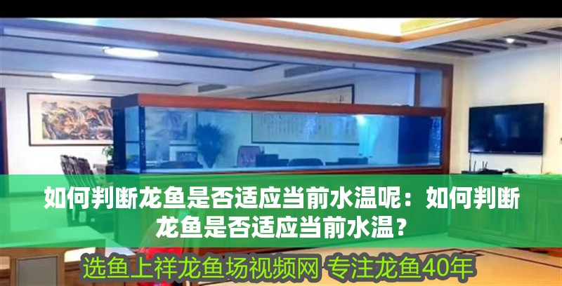 如何判斷龍魚是否適應(yīng)當前水溫呢：如何判斷龍魚是否適應(yīng)當前水溫？