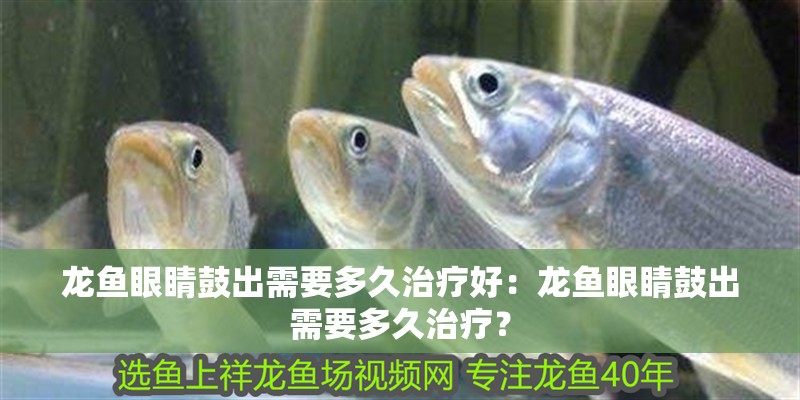 巨型恐龍魚 巨型恐龍魚 龍魚百科