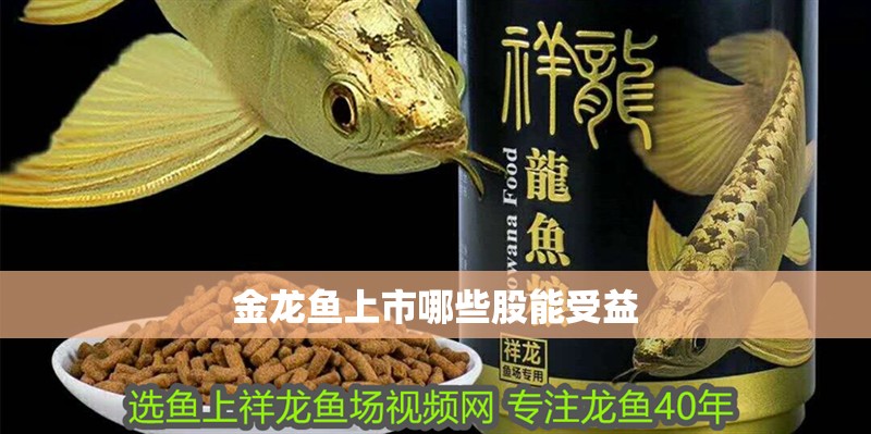 金龍魚上市哪些股能受益