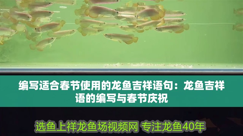 編寫適合春節使用的龍魚吉祥語句：龍魚吉祥語的編寫與春節慶祝