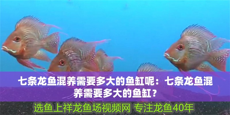 如何判斷魚苗是否因高溫受壓：如何判斷魚苗是否因高溫受壓，如何預(yù)防魚苗夏季缺氧