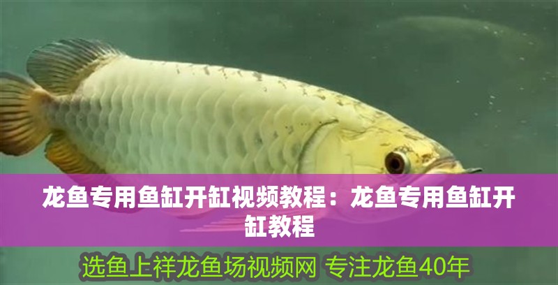 龍魚專用魚缸開缸視頻教程：龍魚專用魚缸開缸教程