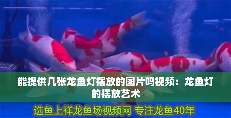 能提供幾張龍魚燈擺放的圖片嗎視頻：龍魚燈的擺放藝術