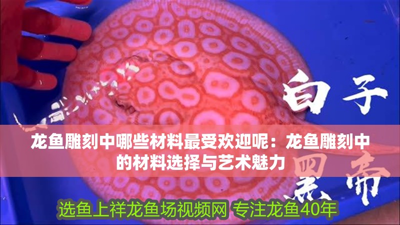 龍魚雕刻中哪些材料最受歡迎呢：龍魚雕刻中的材料選擇與藝術魅力