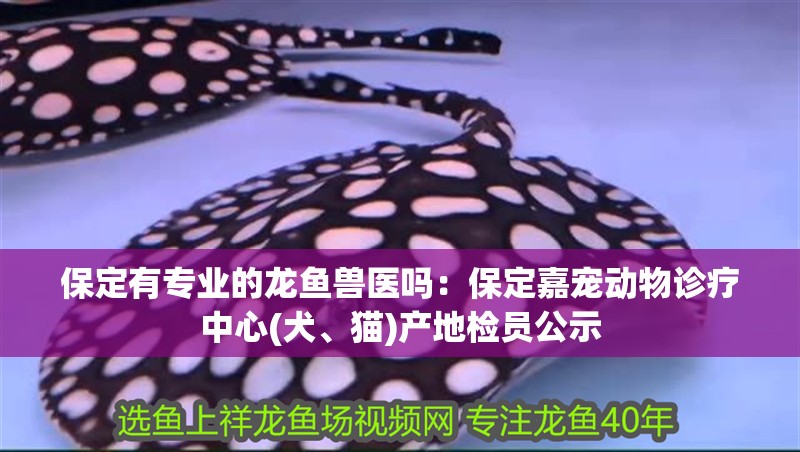 保定有專業的龍魚獸醫嗎：保定嘉寵動物診療中心(犬、貓)產地檢員公示 保定有專業的龍魚獸醫嗎：保定嘉寵動物診療中心(犬、貓)產地檢員公示 龍魚百科