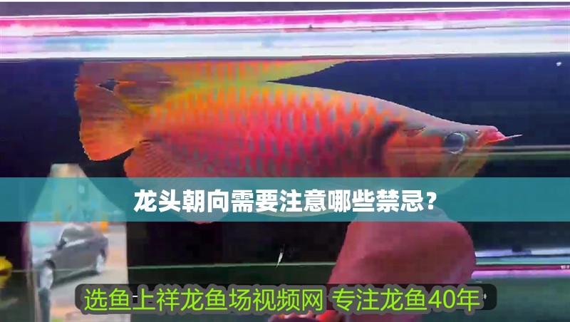 龍頭朝向需要注意哪些禁忌？