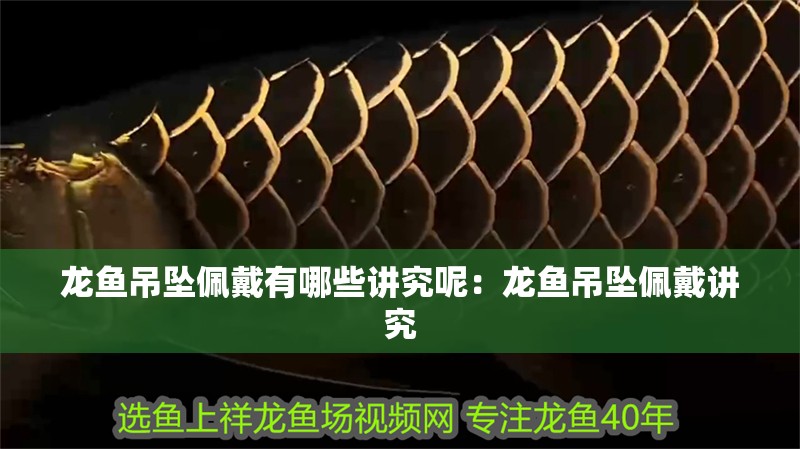 龍魚吊墜佩戴有哪些講究呢：龍魚吊墜佩戴講究