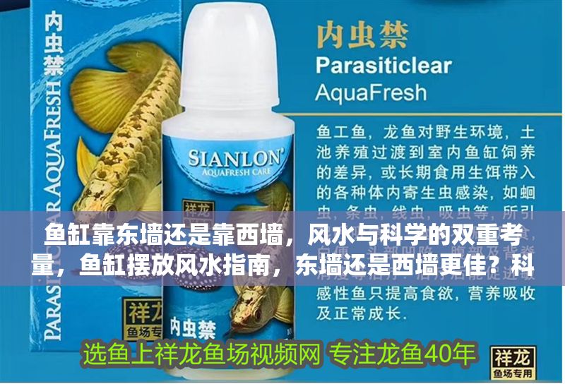 魚缸靠東墻還是靠西墻，風(fēng)水與科學(xué)的雙重考量，魚缸擺放風(fēng)水指南，東墻還是西墻更佳？科學(xué)與傳統(tǒng)的平衡之道