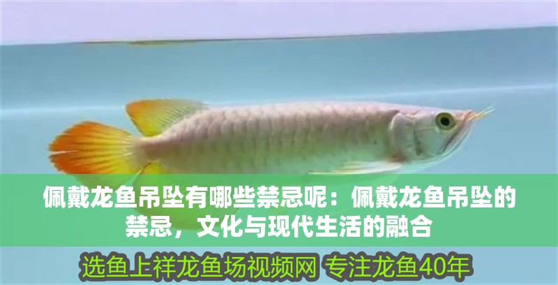 佩戴龍魚吊墜有哪些禁忌呢：佩戴龍魚吊墜的禁忌，文化與現代生活的融合