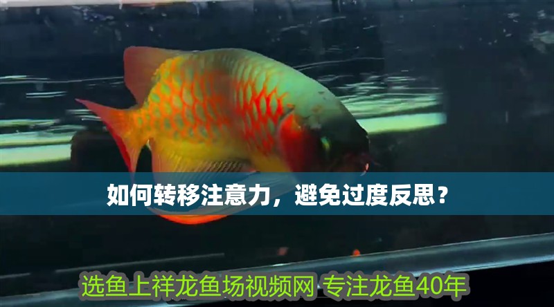 如何轉移注意力，避免過度反思？