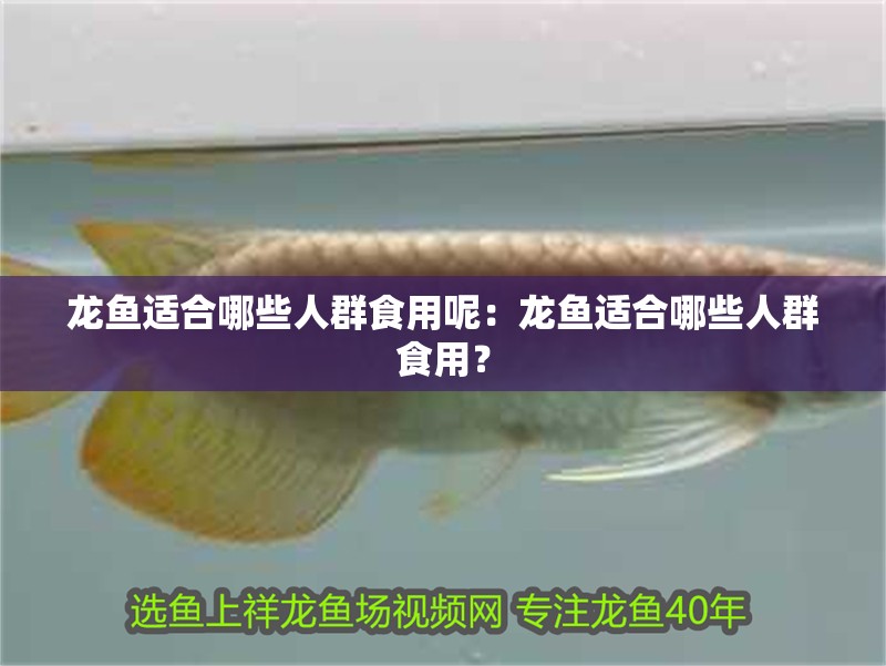 龍魚適合哪些人群食用呢：龍魚適合哪些人群食用？