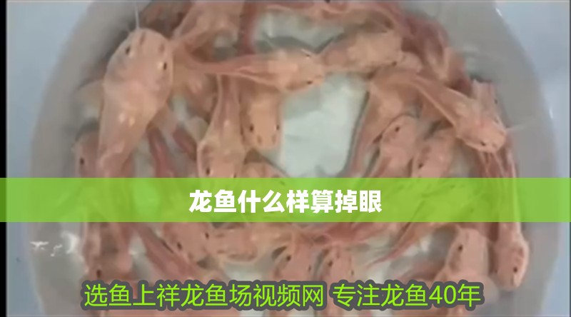龍魚什么樣算掉眼 龍魚什么樣算掉眼 龍魚百科