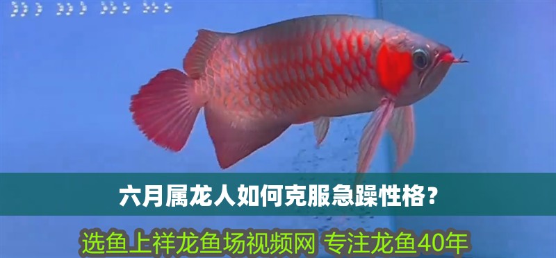 六月屬龍人如何克服急躁性格？